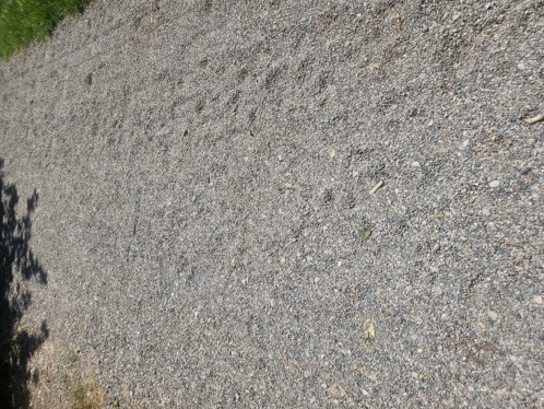 New gravel on a walking path in Lemhi County.